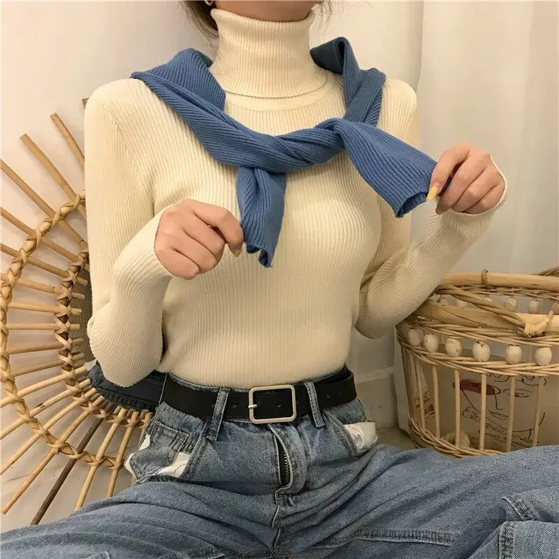 FrostKnit Turtleneck Pullover